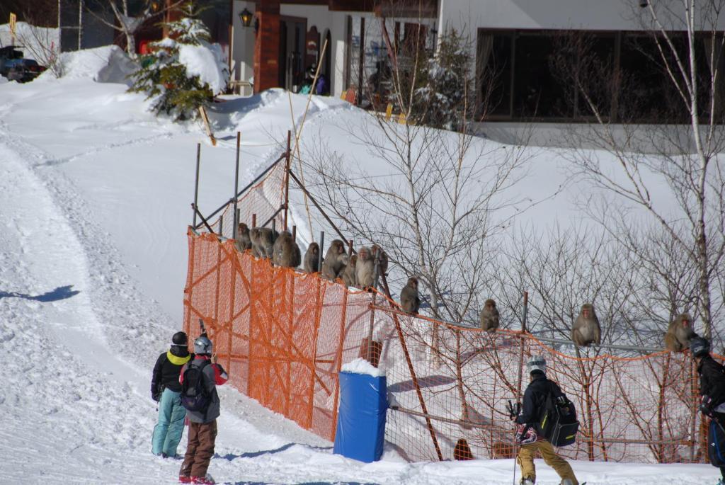 Hotel Aspen Shiga Yamanouchi  Exterior foto